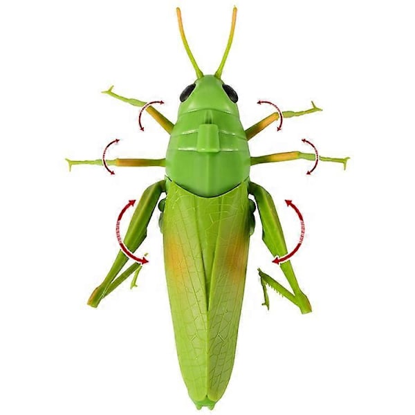 Simuleringsinsekt Infraröd Fjärrkontroll Djurleksak RC Skorpion Spindel Nyckelpiga Barnpresent LGL Praying mantis
