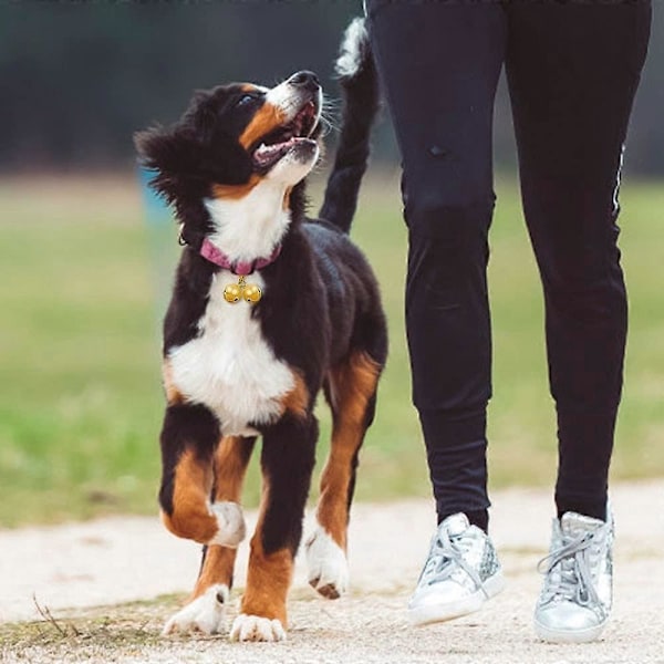 Stk. Kæledyrsklokker, Klokker til Hundehalsbånd Guld Sølv Klokker til Charme Vedhæng til Hunde Katte Halsbånd (LGL)