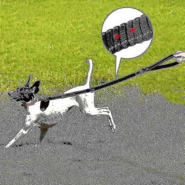 XUEMEI Blød og Robust Hundesnor - Komfortabel, Holdbar, Sort til De Fleste Kæledyr (LGL)
