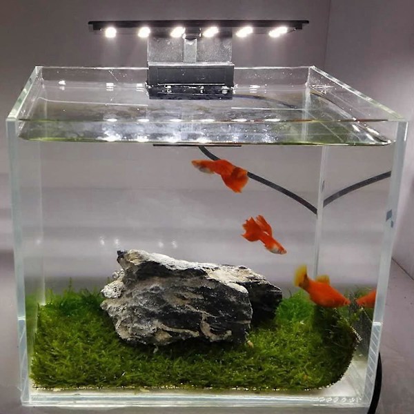 Ultra-tyndt Akvarium LED Lys Ultra Klart Clip-on Belysningslampe 12 LEDs til Akvarium Fisketank 5W (LGL)