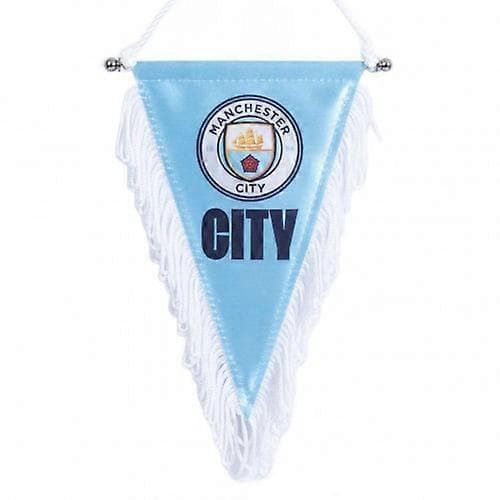 Trekantvimpel (LGL) Sky Blue/White One Size