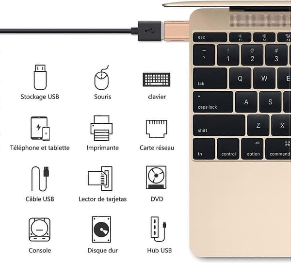 USB C til USB Adapter (2-pak), USB-C til USB 3.0 Adapter, USB Type-C til USB Adapter (Guld) (LGL)