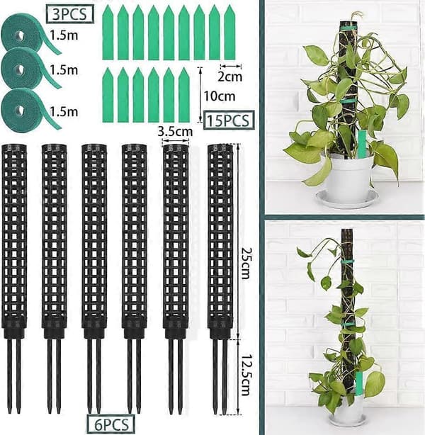 6-pack Moss Pinne för Monstera - Kokosnöts Moss Stolpe för Inomhusväxter (LGL)