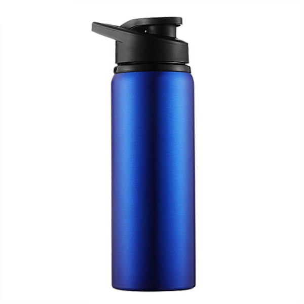 700ML Vattenflaska Stor Kapacitet Livsmedelsklassad Bra Tätning Rostfritt Stål Sport Fitness Dryckesflaska Reseförsörjning (LGL) Blue 700ML