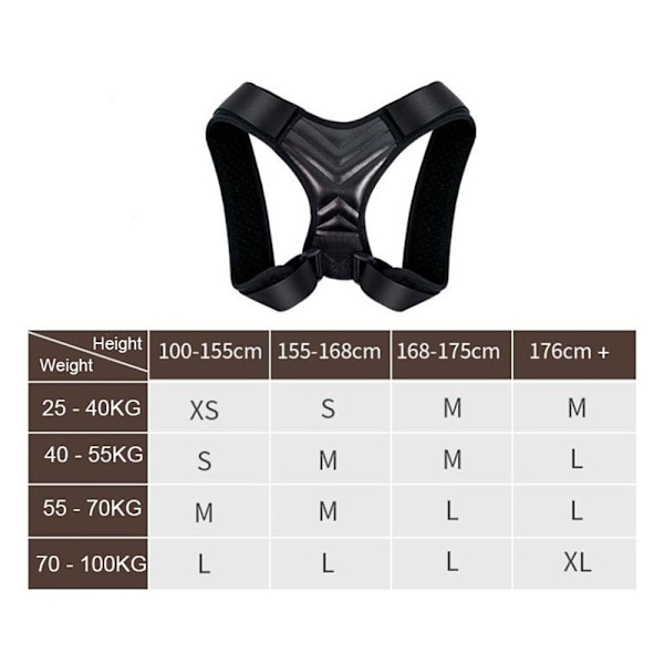 Rygstøtte for bedre holdning - XL (LGL)