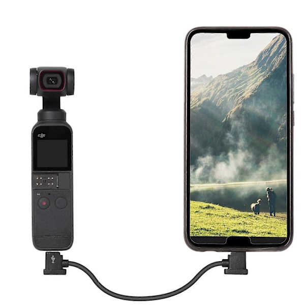SUNNYLIFE 30cm Type-C til Lightning Kabel til DJI Air 2S/Mini 2/Air 2/Pocket 2/Osmo Pocket LGL