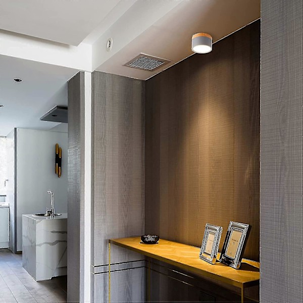 5W LED Rund Overflatemontert Takspotlight, Børstet Grå, Varmhvit, 90mm, 3000k LGL