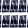 10-pack såddbrickor med 50 hål, såddceller, startbricka, planteringsbehållare