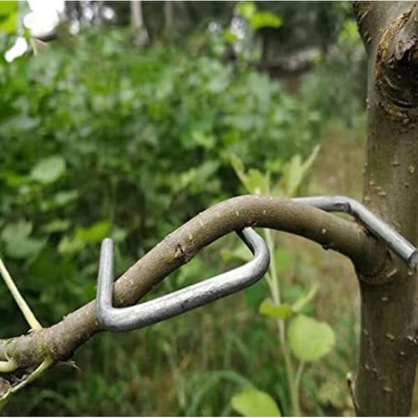 Fruit Tree Branch Spreader. Agricultural Tool. Open Angle. Tool for Opening and Bending Fruit Trees. (M-10cm)