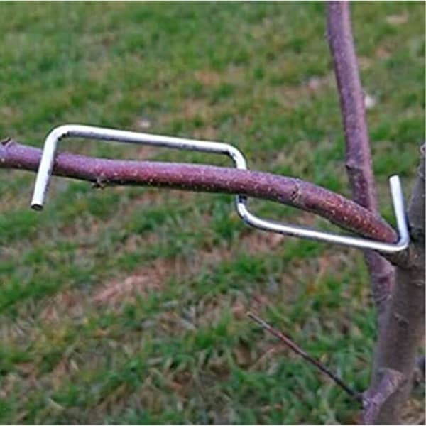 Fruit Tree Branch Spreader. Agricultural Tool. Open Angle. Tool for Opening and Bending Fruit Trees. (M-10cm)