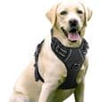 Reflekterende hundesele - Anti-træk - Justerbar - Sort