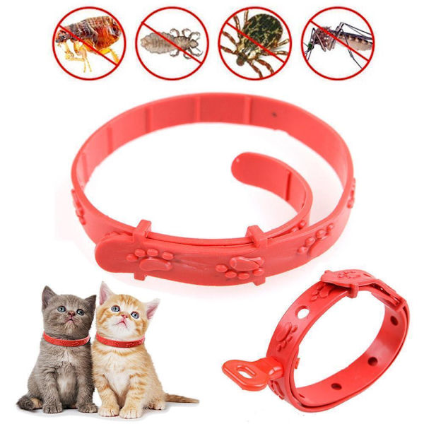 ♘Hund Katt Husdjur Anti-LoppFästing Hals Justerbart Halsband 8 Månader -katt*10&hund*30