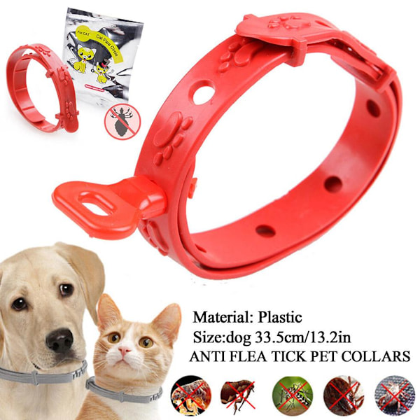 ♘Hund Katt Husdjur Anti-LoppFästing Hals Justerbart Halsband 8 Månader -katt*10&hund*30