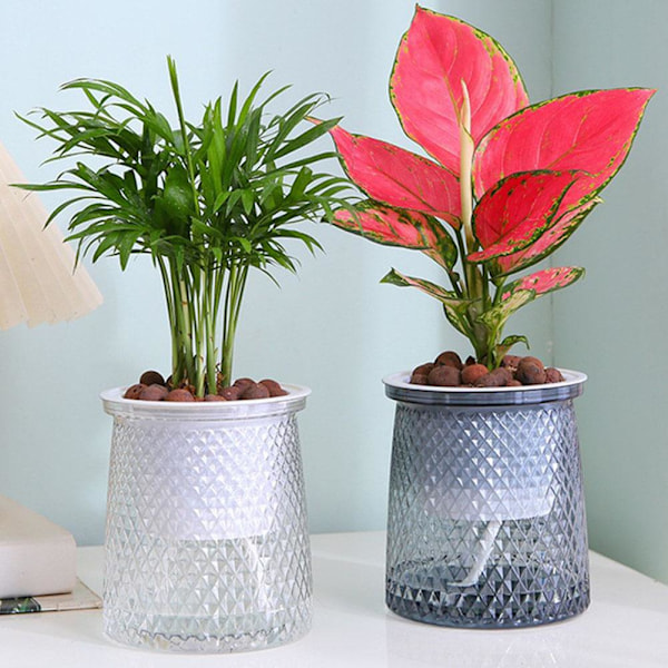 Självabsorberande Blomkruka, Självvattnande Hydroponisk Kruka, Suckulent Transparent S 1set