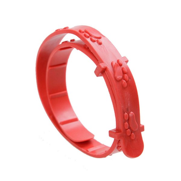 ♘Hund Katt Husdjur Anti-LoppFästing Hals Justerbart Halsband 8 Månader -katt*10&hund*30
