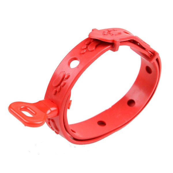 ♘Hund Katt Husdjur Anti-LoppFästing Hals Justerbart Halsband 8 Månader -katt*10&hund*30