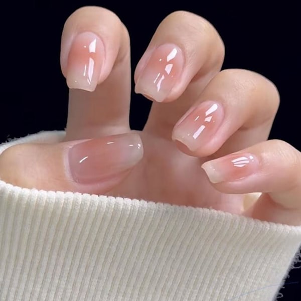 Fantasy Fairy Lös Nagelset med Lim Fransk Konstgjord Färgade Naglar Nagel E5N9 A69 1set