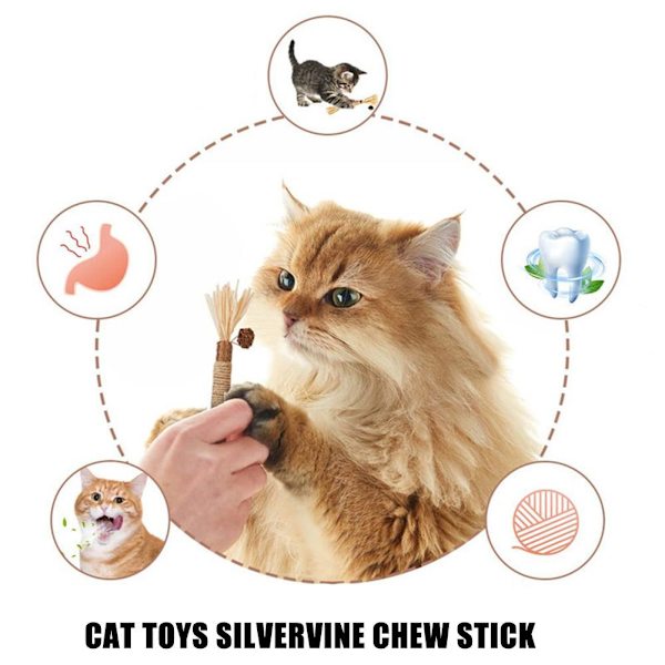 Kattmynta Leksaker Kattspö Silvervine Pinnar Kattleksaker För Inomhus Tuggleksaker