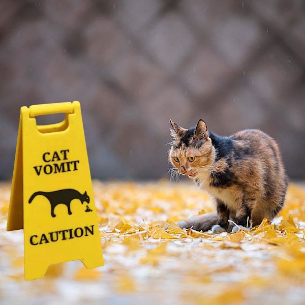 Rolig Katt - Kräk Skylt Gåva Trädgårdsskyltar Ny Varningsskylt 2025-UK cat+dog 2pcs