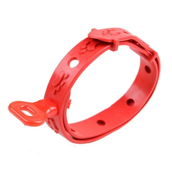 ♘Hund Katt Husdjur Anti-LoppFästing Hals Justerbart Halsband 8 Månader -katt*10&hund*30