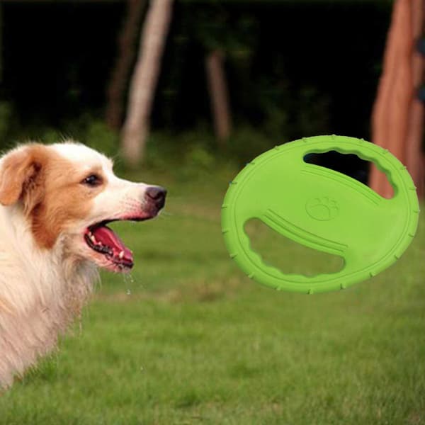 Hundefrisbee med doble håndtak – grønn