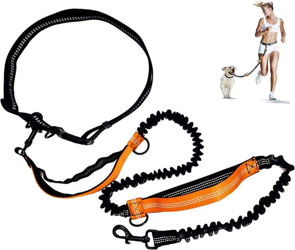 Hundkoppel Dragrem - Svart + Orange