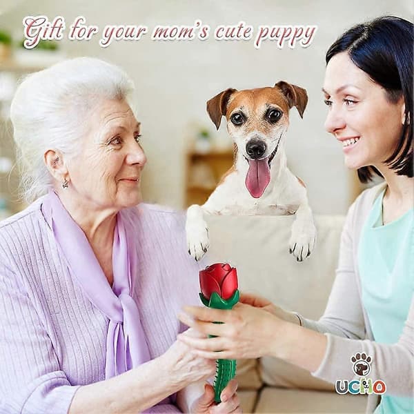 Holdbart hundelegetøj til aggressive tyggere, Magic Rose robust legetøj til store/mellemstore hunde