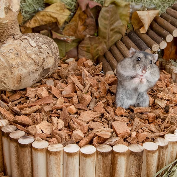 2 st Hamsterleksaker - Stor + Mellan