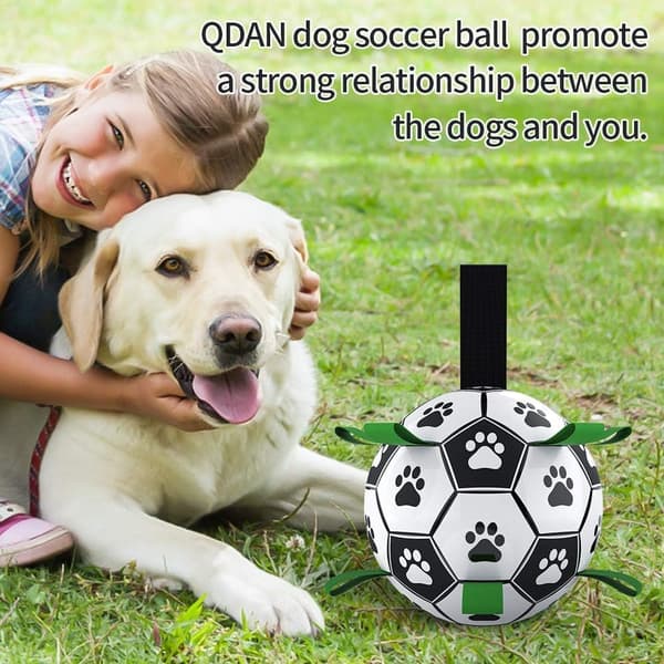 Hundefodboldlegetøj (grøn + luftpumpe)