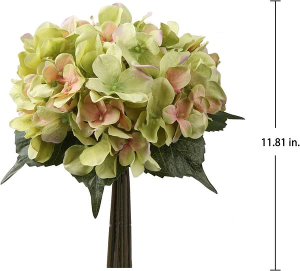 Hortensia tekokukka samppanja