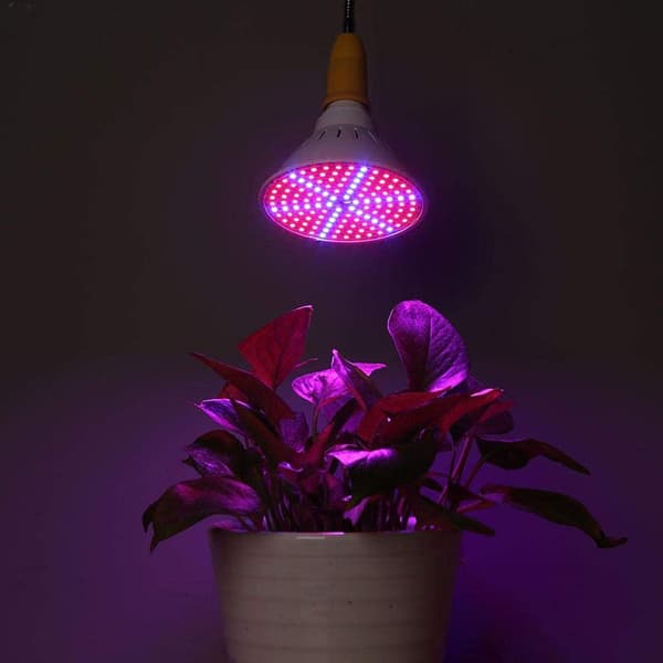 LED plantelyskop-GU10-80 perler