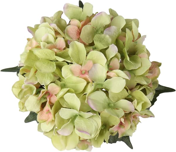 Hortensia tekokukka samppanja