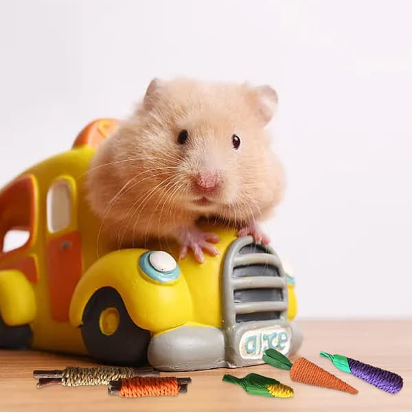 1 stk Hamster Tygeleke - A-13 stk Sett