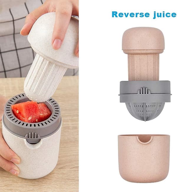 Juicer-Rosa