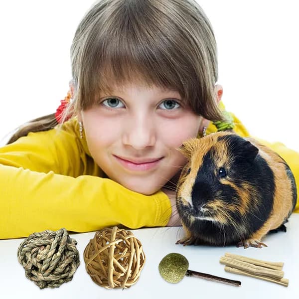 1 kpl hamsterin purulelu - A-18 kpl setti