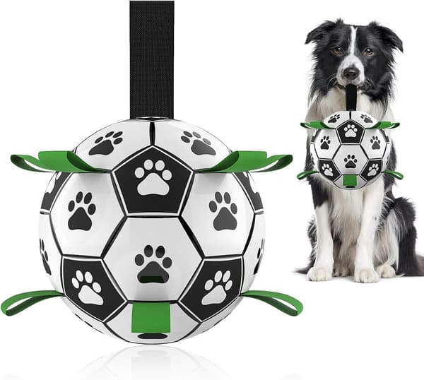 Hundleksak fotboll (grön + luftpump)