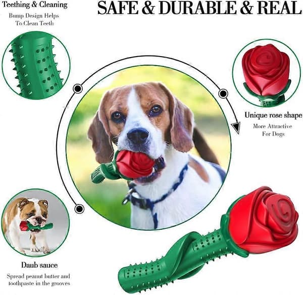 Holdbart hundelegetøj til aggressive tyggere, Magic Rose robust legetøj til store/mellemstore hunde
