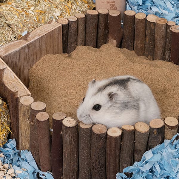 2 st Hamsterleksaker - Stor + Mellan