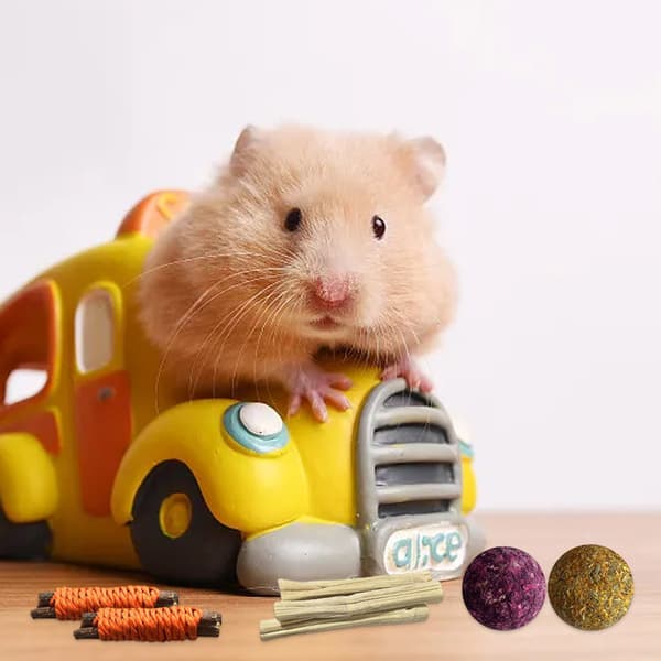 1 kpl hamsterin purulelu - A-18 kpl setti