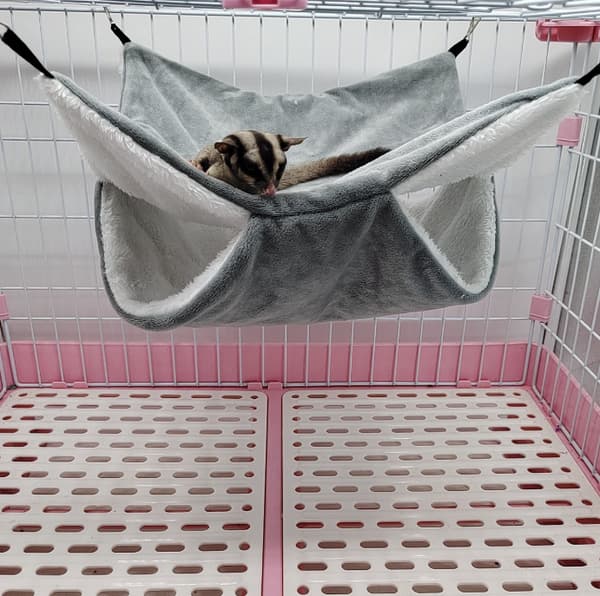 Lille kæledyrshængekøje Hamster Bomuldsrede Egern - Grå