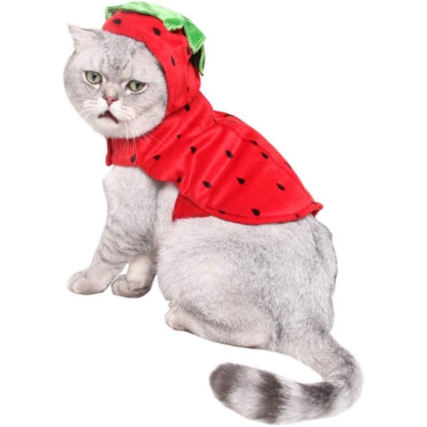 Pet Halloween kostym Röd Strawberry Hoody Julkappa med hatt Varm tröja