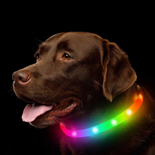 LED-hundhalsband - Uppladdningsbart RGB-färgskiftande ljus-upp-hundhalsband för små medelstora hundar