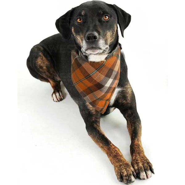 Höstsnusnäsduk för hundar 2-pack, Thanksgiving-snusnäsduk för hundar, orange rutig sjal för husdjur