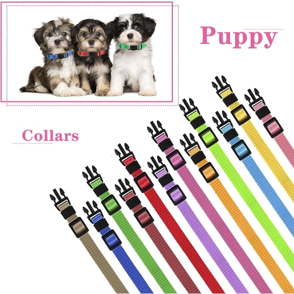 Justerbara valphalsband - 12-pack mjuk nylon ID ströhalsband för små hundar och katter