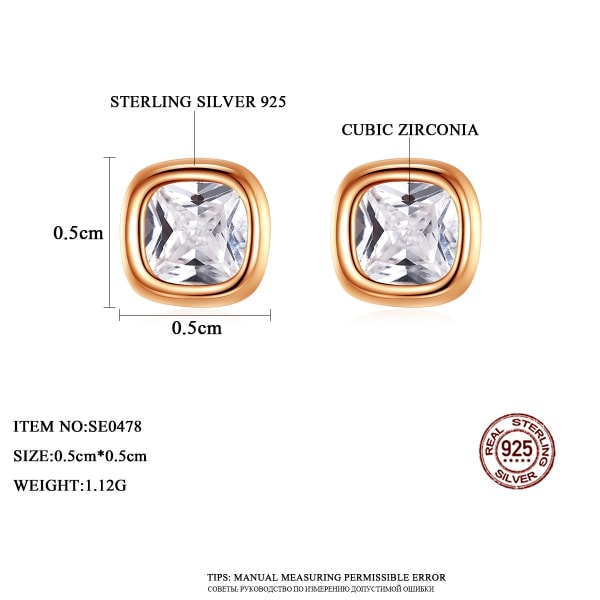 Elegant Silver S925 fyrkantiga CZ örhängen för kvinnor Högkvalitativ raminställning Cubic Zirconia Lyxiga små fina smycken SE0478-RG