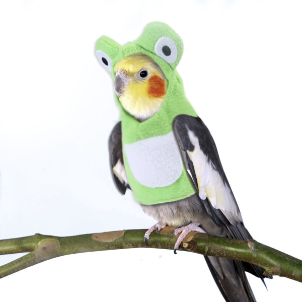 Fågel roliga leksaker Säkert Husdjur Kreativ Nya Pet Fåglar Kläder Handgjorda anpassning L
