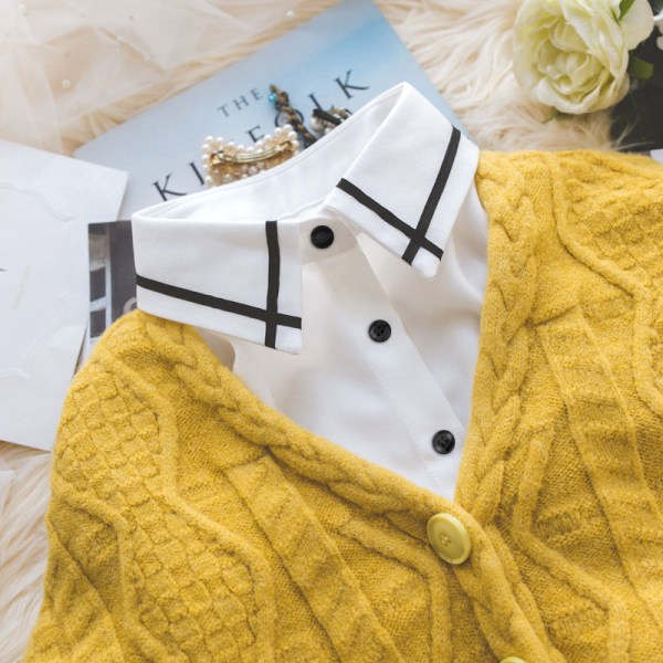 Elegant Dam falsk krage Skjortkrage Svart Vit Bluskrage All-Match Sweater Sweater White round neck cotton