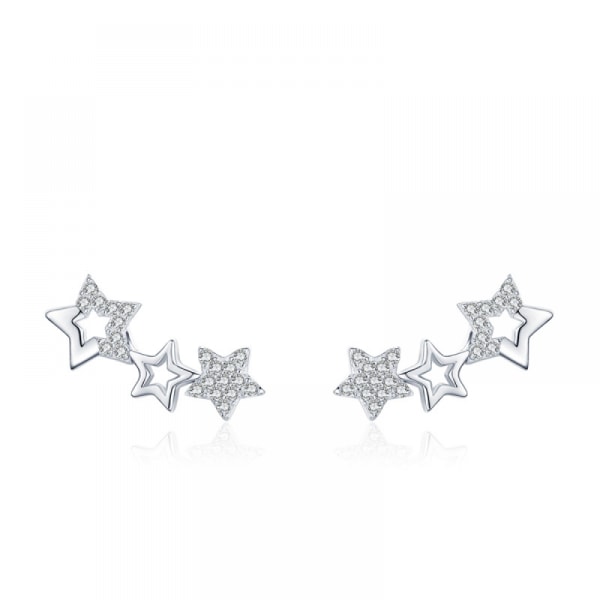 Eleganta stjärniga örhängen för kvinnor 925 sterling silver örhängen, silver, Inklusive Låda silverfärgad