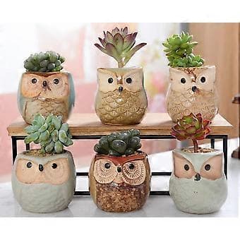 6 stk. Søte Ugle Blomsterpotter