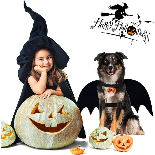 (L) Halloween Bat Wings kostym för husdjur med pumpa klockor, Adju